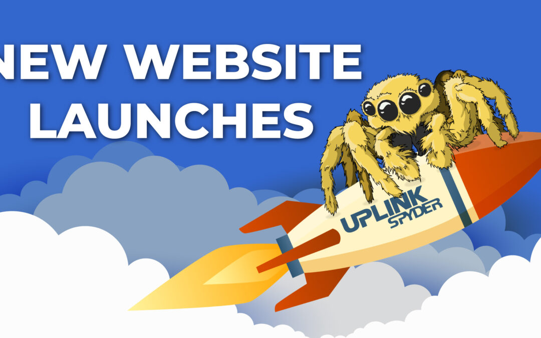 Latest Business Website Launches!